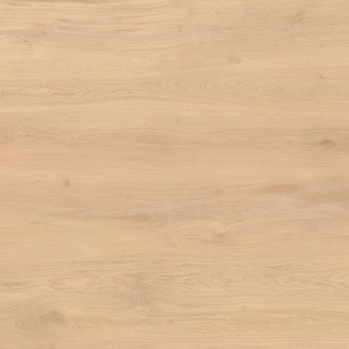 Log Collection Wood Effect Porcelain Wall and Floor Tile