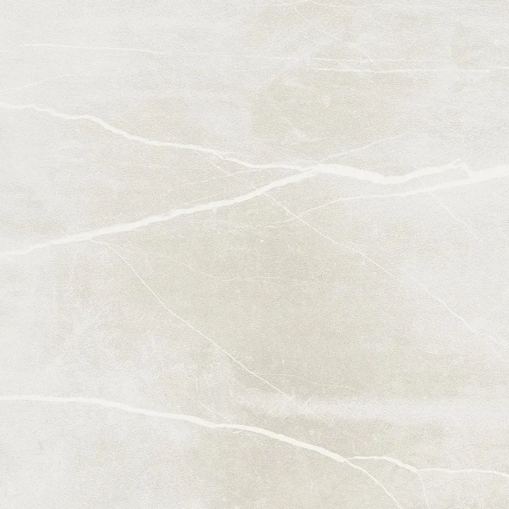 Stone X Porcelain Wall and Floor Tile